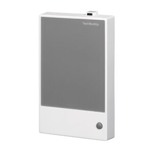 Dual Voltage 15A Slave Unit
